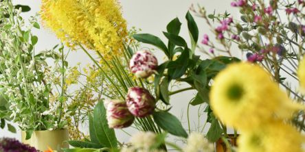 鎌倉の小さな花のアトリエ「_ish.」へ…珍しい種類も1本から気軽に買える♪