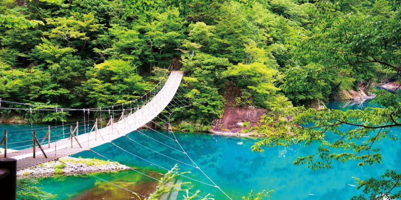 大自然が残る大井川鐡道沿線を観光 隠れた絶景を目指す 静岡日帰りプラン