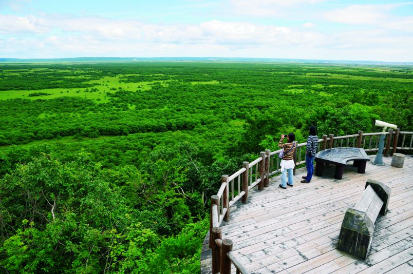 大湿原にタンチョウとのご対面、絶景！釧路ドライブ｜るるぶ&more.