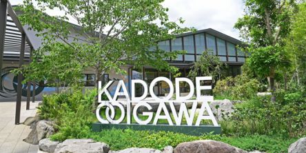 【体験リポート】話題の「KADODE OOIGAWA（かどで おおいがわ）」は一日遊べる！ 静岡県島田市で日本茶の魅力にハマる