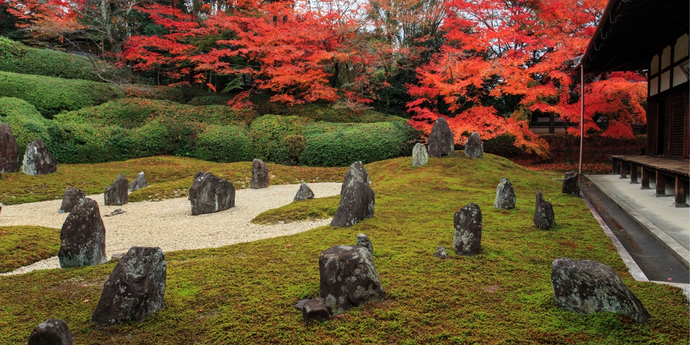 京都 昭和の名作庭家 重森三玲の傑作 虹の苔寺 と呼ばれる光明院の紅葉の庭 るるぶ More