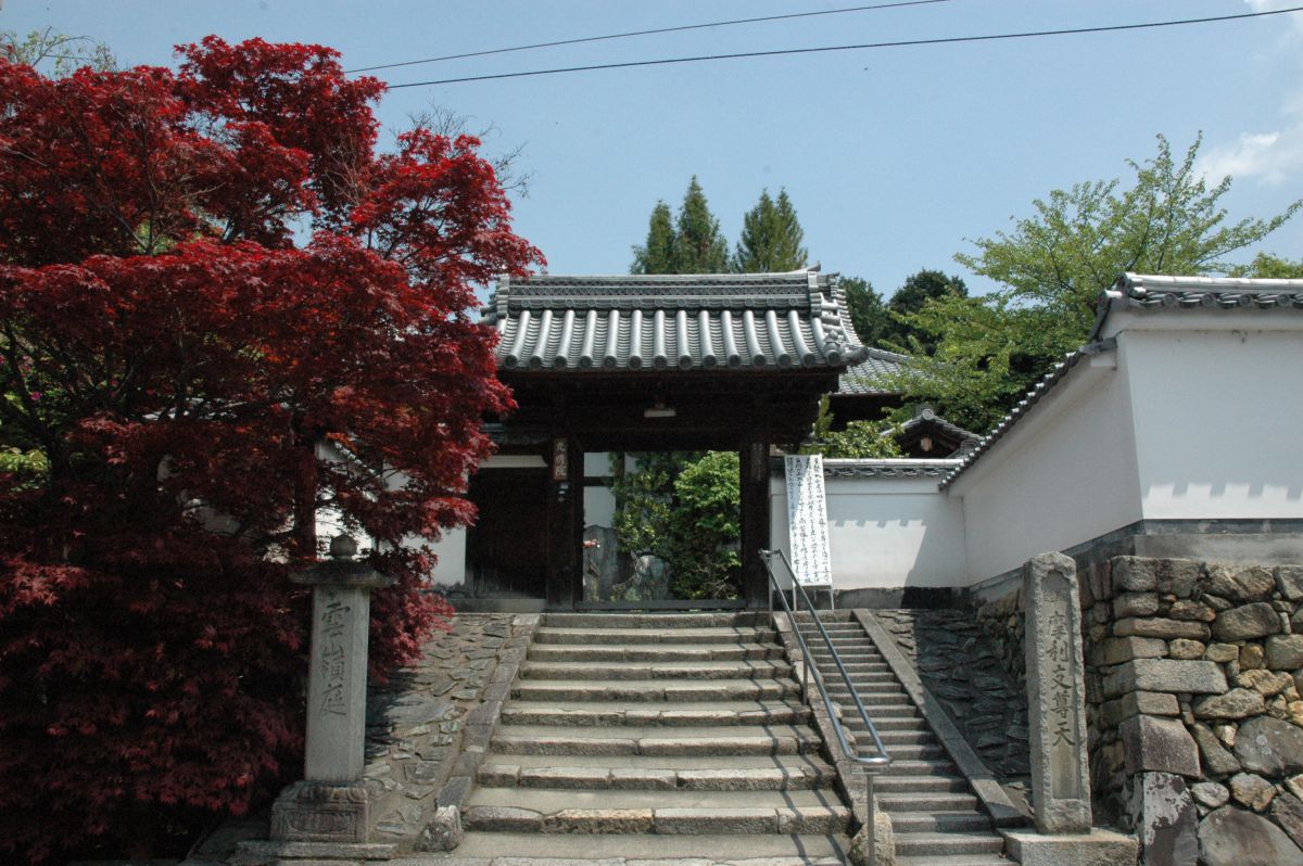 京都 昭和の名作庭家 重森三玲の傑作 虹の苔寺 と呼ばれる光明院の紅葉の庭 るるぶ More