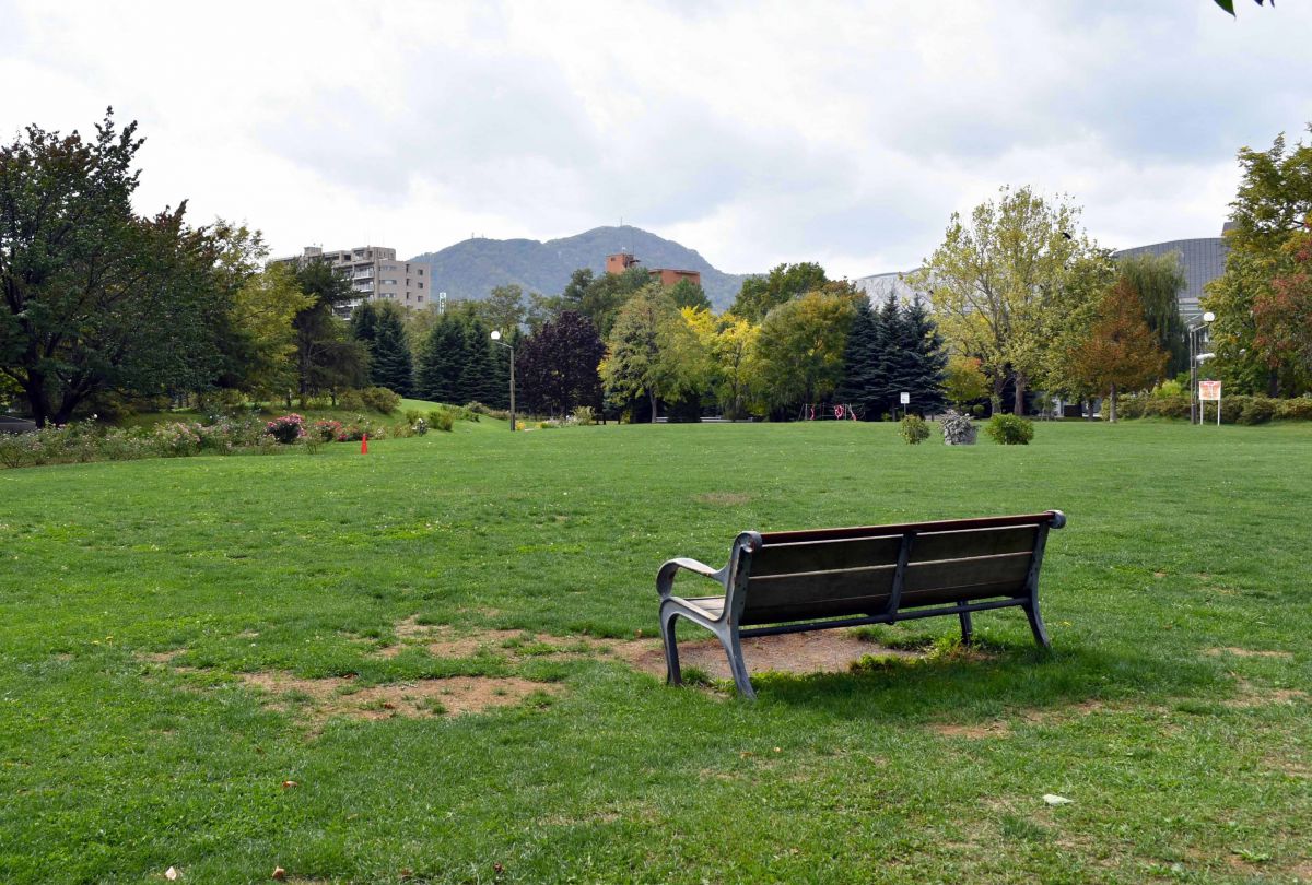 札幌 すすきのエリアから徒歩圏内 中島公園 の緑豊かな風景と水辺でウォーキングはいかが るるぶ More