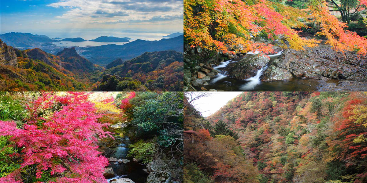 四国のフォトジェニックな紅葉名所～おすすめランキング2021～