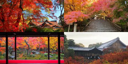 京都のおすすめ紅葉名所をエリアごとにチェック！2021年はどこ行く？