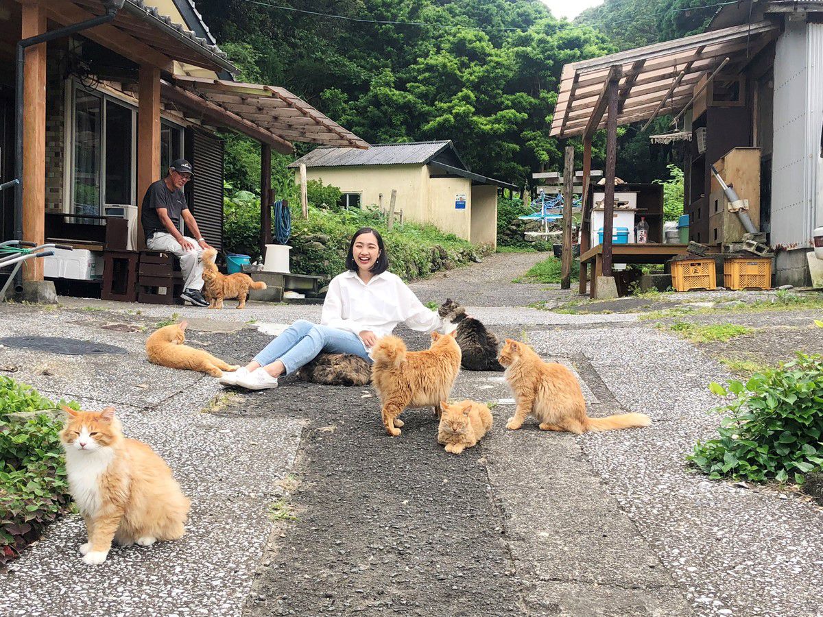 ウワサの猫島へ行ってみた♪もふもふ癒され旅を大分・深島で体験