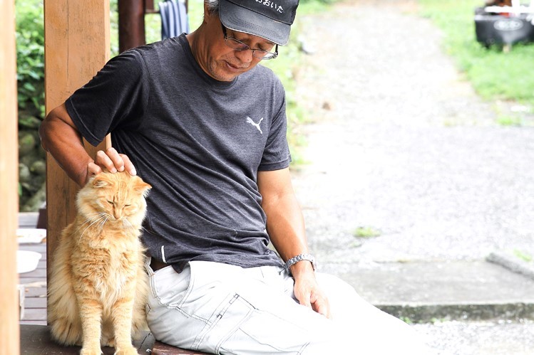 ウワサの猫島へ行ってみた♪もふもふ癒され旅を大分・深島で体験 