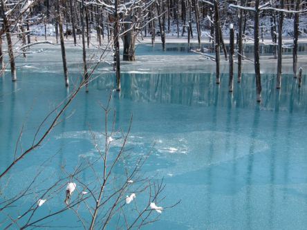 【北海道】冬だからこその美しさ！雪と氷の大自然絶景6選
