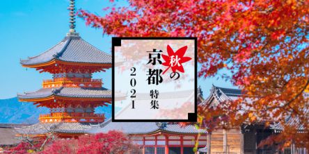 秋の京都特集2021