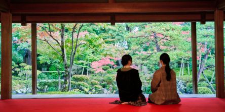 みなと町･新潟を巡り、歴史・文化・グルメ…五感で魅力を体感！