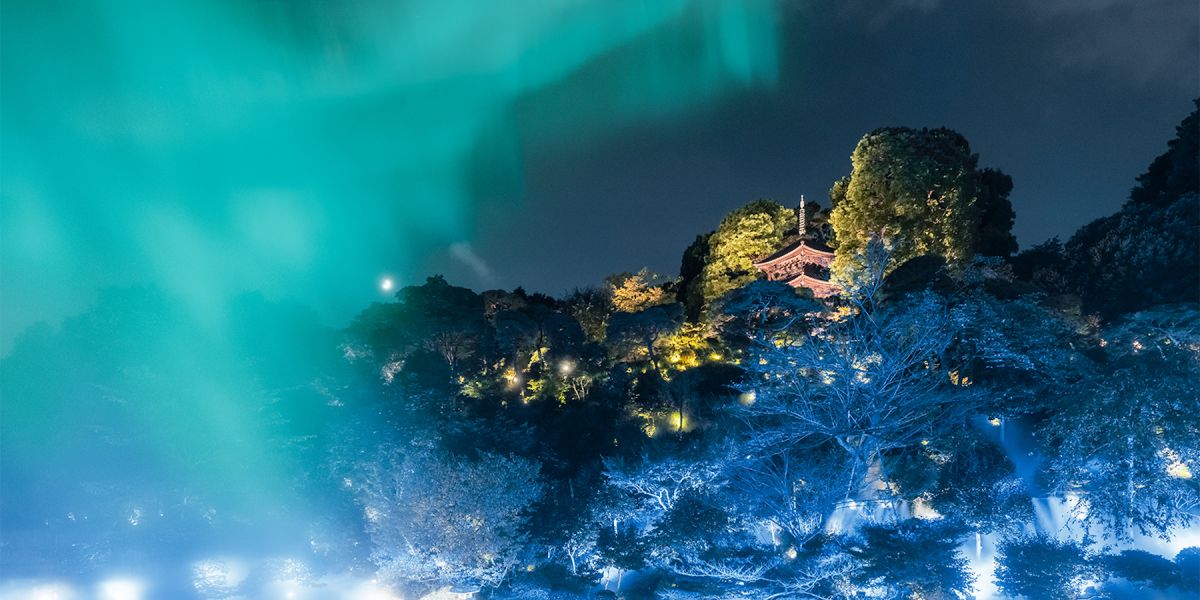 ホテル椿山荘東京の庭園にて「森のオーロラ」がスタート！冬の夜空に 