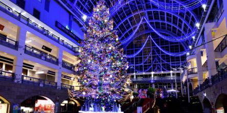 札幌のおすすめイルミネーション（2021-2022）クリスマスや冬デートに！
