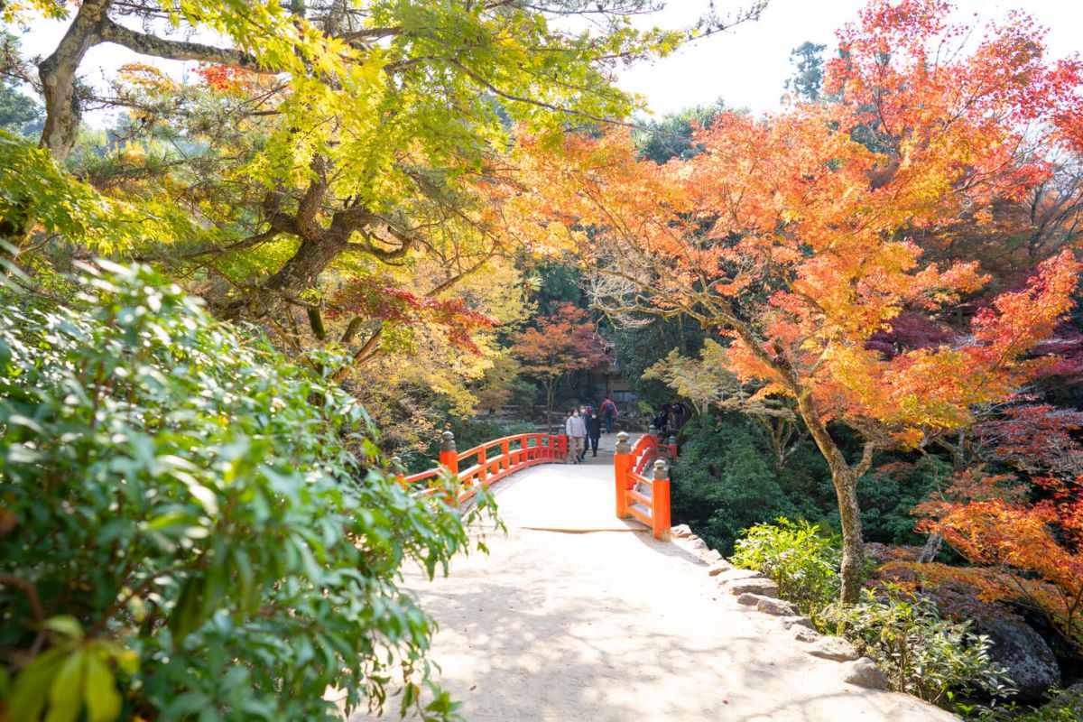 宮島 もみじ谷 – 宮島 紅葉谷コース – GQKWS
