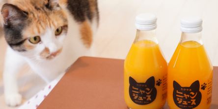 猫専用こたつ付きのみかんジュース「ニャンジュース」が今年も販売スタート！
