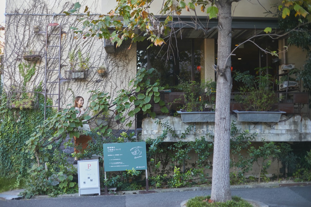 アンティーク家具と緑に囲まれる ノイカフェ 箕面船場本店 で癒しの時間 大阪カフェごはん 19 るるぶ More