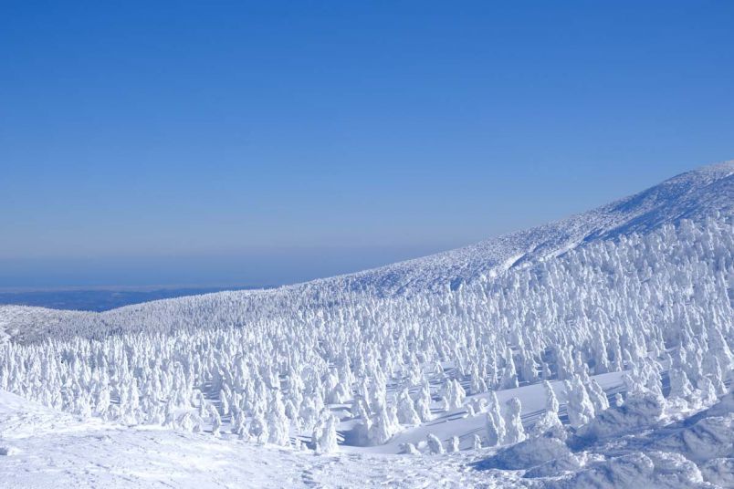 世界に誇る冬の絶景 蔵王の樹氷 22年最新情報も るるぶ More