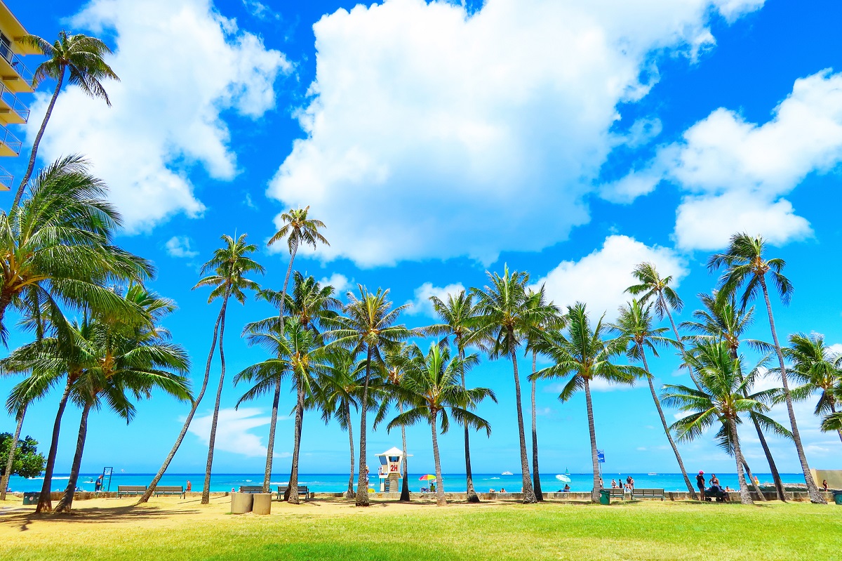 22年最新 ビーチもスイーツもショッピングも ハワイを1 満喫する王道３泊5日モデルプラン るるぶ More