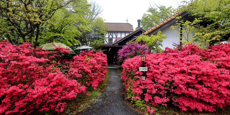 初夏の軽井沢は彩り豊か、映画の舞台にもなったツツジの庭でカフェタイムを！