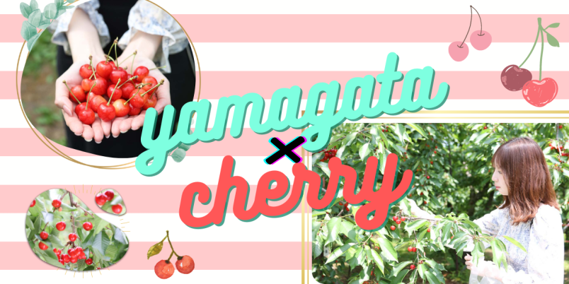 l_Bqafn61tXINYmLa2s7wDVc4LA2wO