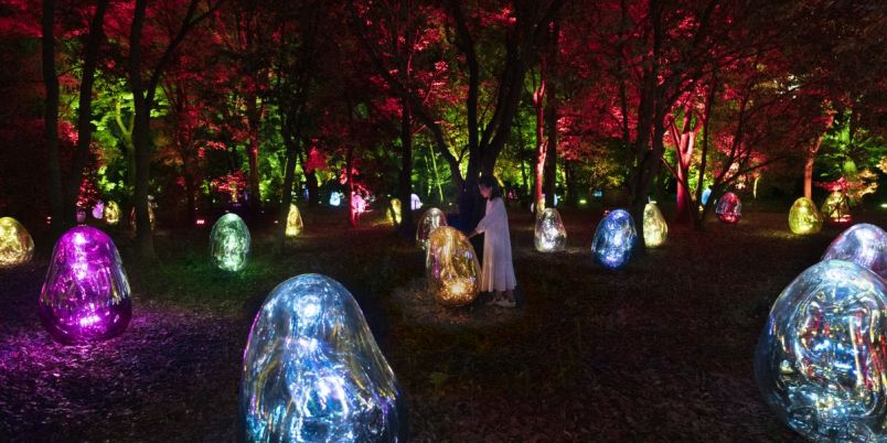 チームラボ ボタニカルガーデン 大阪」2022年7月29日から！長居植物園