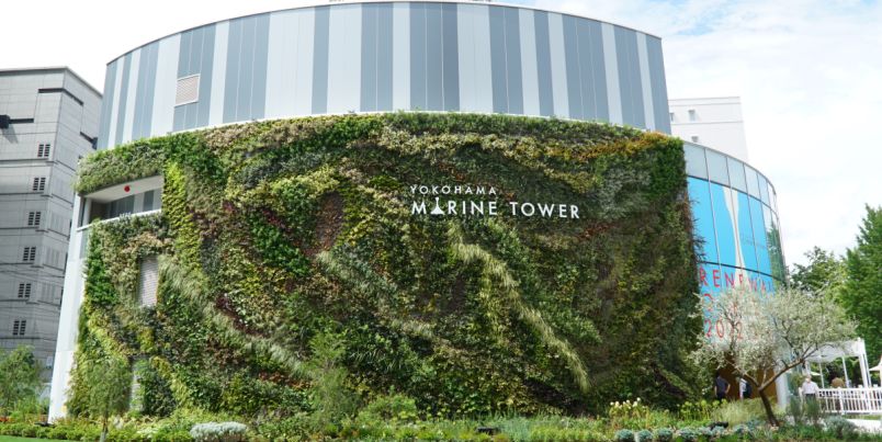 「横浜マリンタワー」が2022年9月1日リニューアルオープン！予約方法やみどころを徹底解説