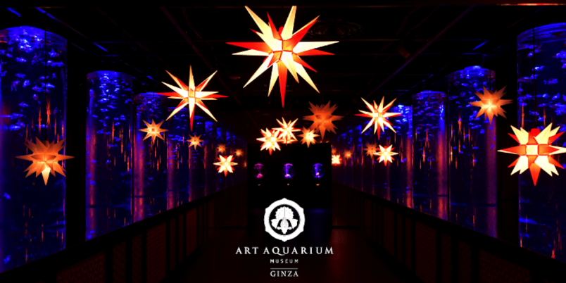 【お値下げ】イルミネーション万華鏡水槽 東京・すみだ水族館の煌めくクラゲ万華鏡トンネルが常設に - 大水槽の