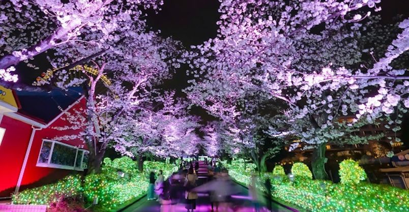 l_fU1Jf4pA24tykcvyQnsP2WFDFjsc