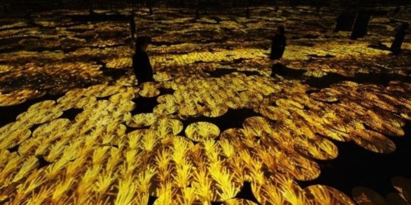 l_Io1AjVas1aFC2WCX1RHMqQiN3OoS