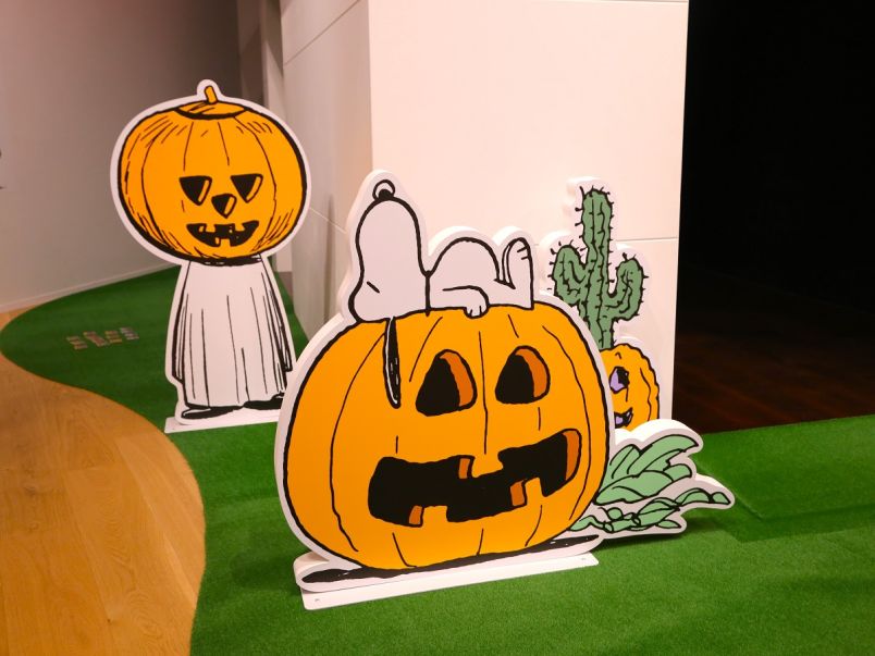 l_8p38myf1XkPFTPsEc701pbug57ne