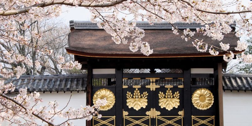 京都】豊臣秀吉も愛した桜の名所、世界文化遺産・醍醐寺は自然美と建築