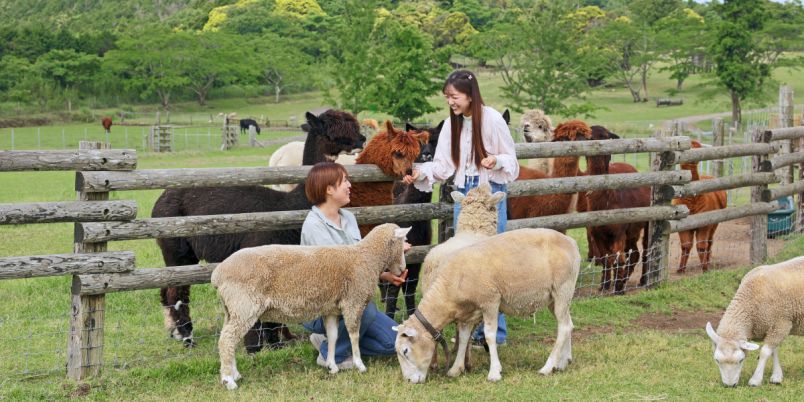 千葉県の爽やかスポット】「マザー牧場」の楽しみ方｜るるぶ&more.