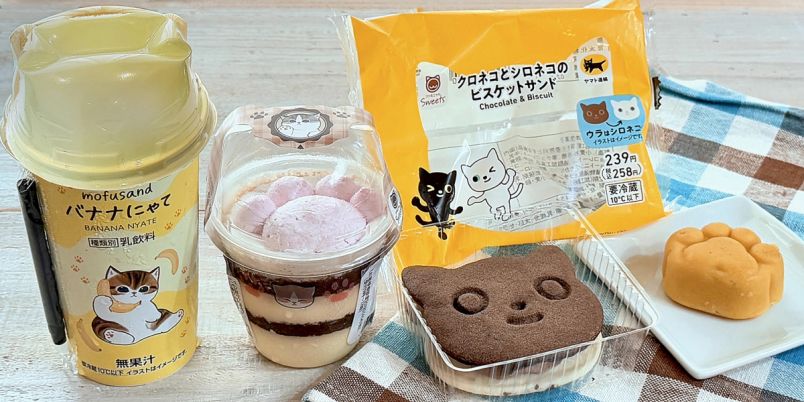 l_1e2edNc96QUcbRSiC9zTgZvruKH2