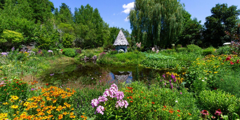 l_knLimb6gN5P48SyT0LI5WB9HNpc8