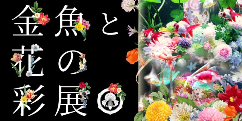 水中花と金魚•デンドロビウム　アクリル画　絵　絵画　呼吸 l_U2TzShsbt20CVaVJr9hv7bNmCC1T