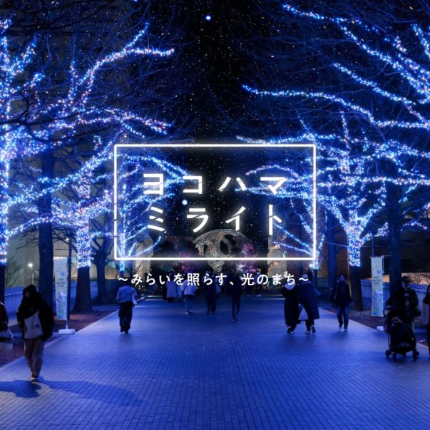 全長約1.5km！ 横浜最大級のイルミ「ヨコハマミライト」今年初開催の