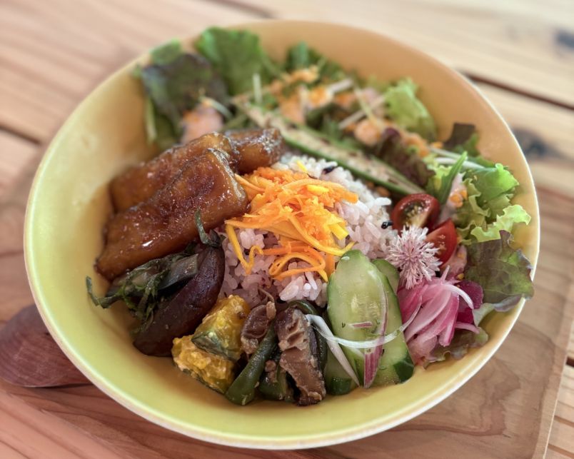 屋久島の木々に触れながら、自然とともに楽しむカフェ／Plant-based