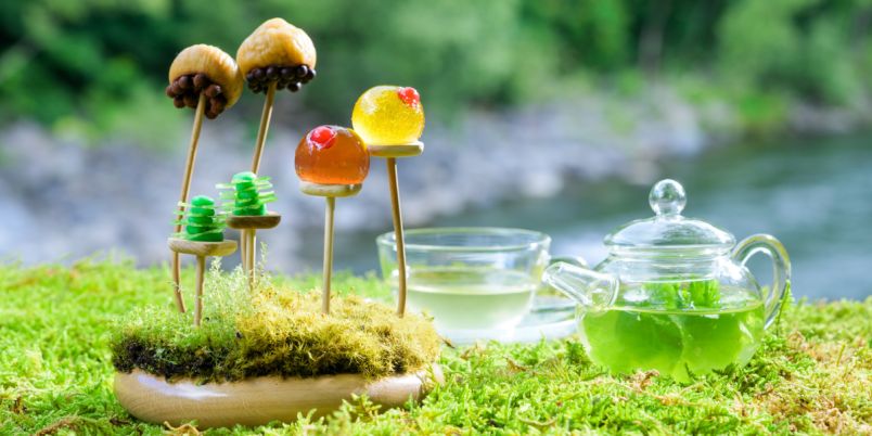 奥入瀬で楽しむ春の「お苔見」