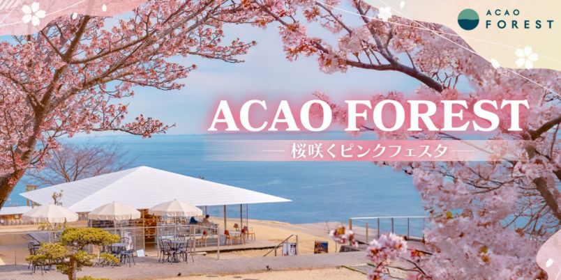 熱海】グルメにワークショップ、フォトスポットも！桜の季節を彩る