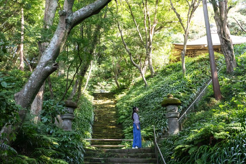 鎌倉でのんびりリセット。静寂のお寺で深呼吸を|リピ旅 鎌倉・湘南 #04|るるぶ&more.の画像