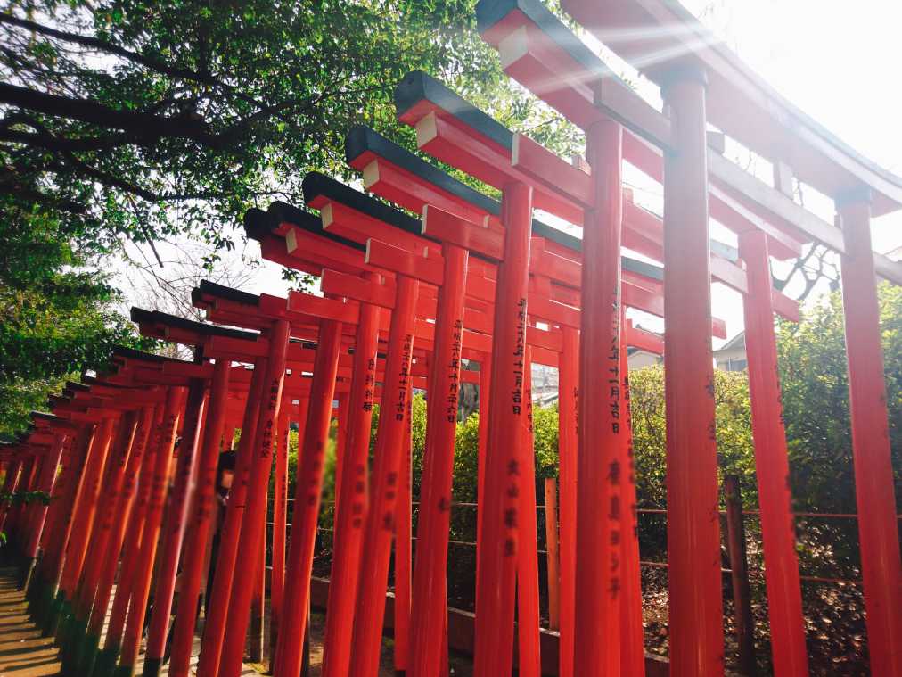 真っ赤な鳥居に視線クギヅケ 千本鳥居がsns映え最高の 根津神社 るるぶ More