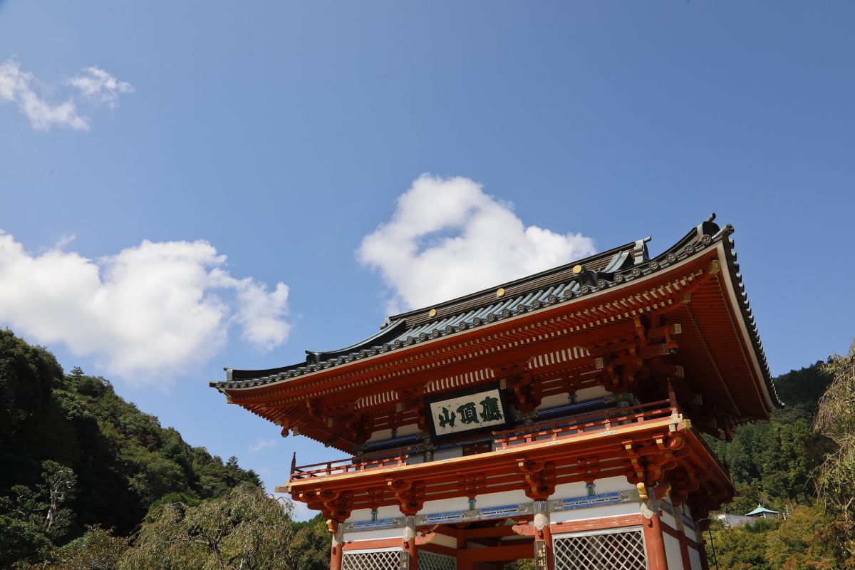 11月末まで 勝ちダルマ で有名な 勝尾寺 の幻想的な紅葉ライトアップ るるぶ More