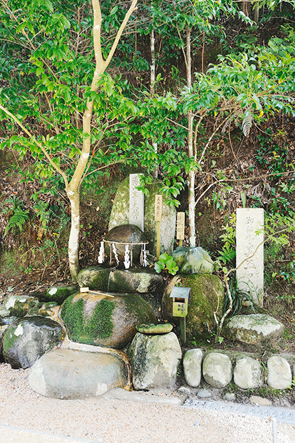 玉作湯神社本殿の境内にある真玉(まだま=願い石)