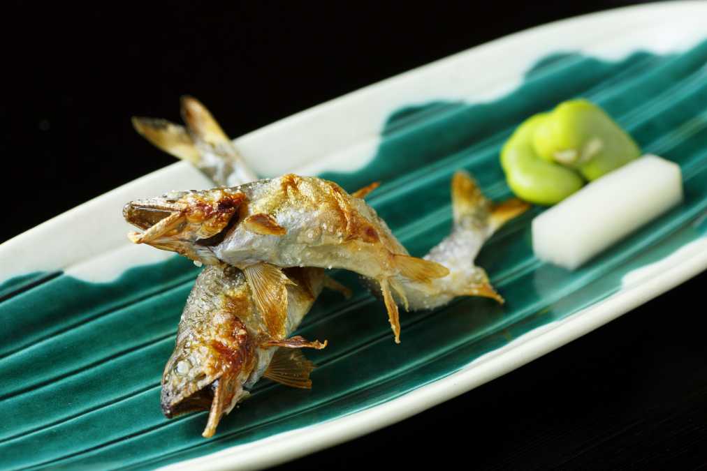 料理の内容は季節、仕入れにより都度変わります
