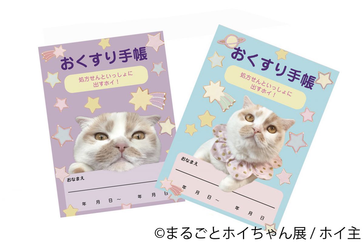 お薬手帳Newバージョン各500円