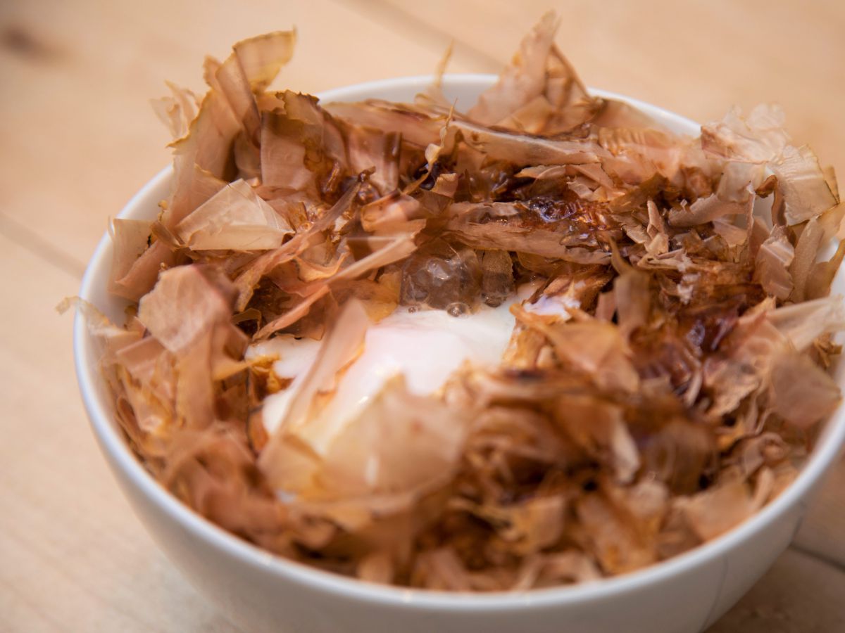 鰹クラシック 650円