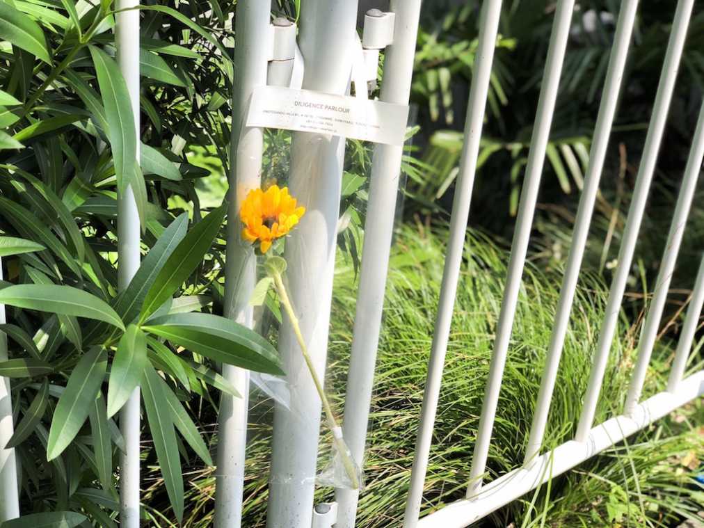 表参道 おすすめのお花屋さん紹介 おしゃれすぎるフラワークリアバッグでセンス抜群のプレゼント るるぶ More