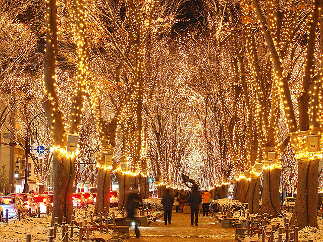 クリスマス デート 仙台 彼女 デート 公園