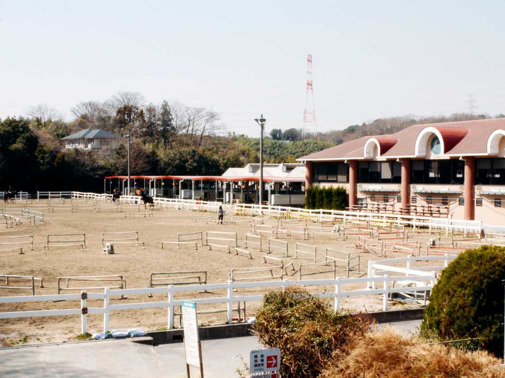 筋肉フル稼働 ダイエット効果も 新宿から30分で行ける乗馬クラブ るるぶ More