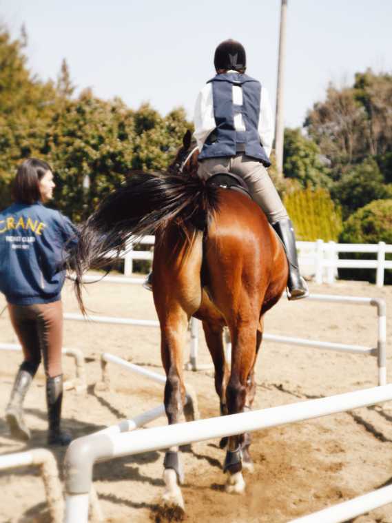 筋肉フル稼働 ダイエット効果も 新宿から30分で行ける乗馬クラブ るるぶ More