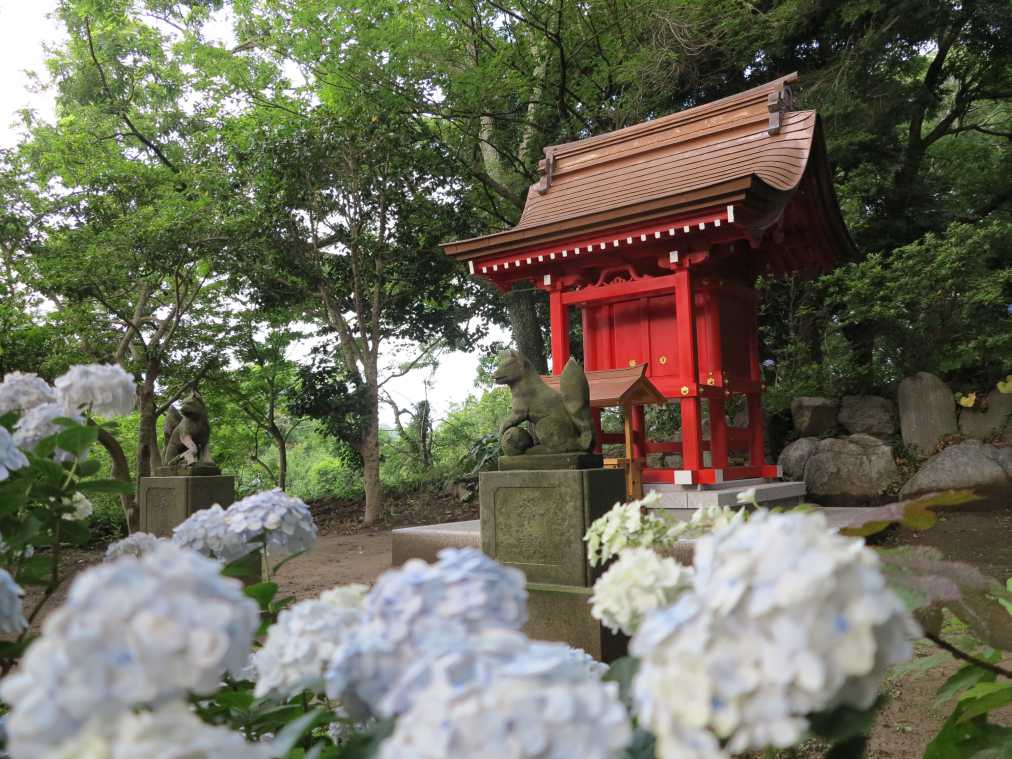 鎌倉のあじさいウォッチの穴場発見 縁結びのパワースポット 葛原岡神社 るるぶ More